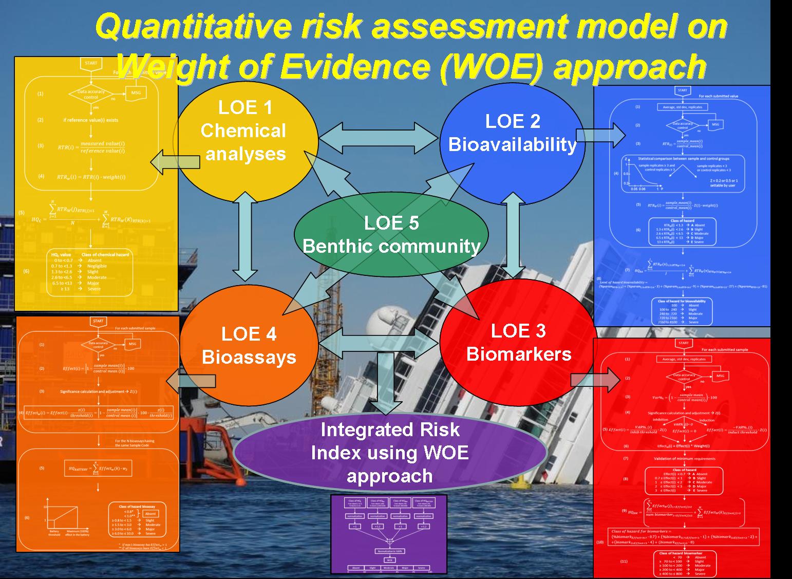 sviluppo di modelli analisi di rischio ambientale